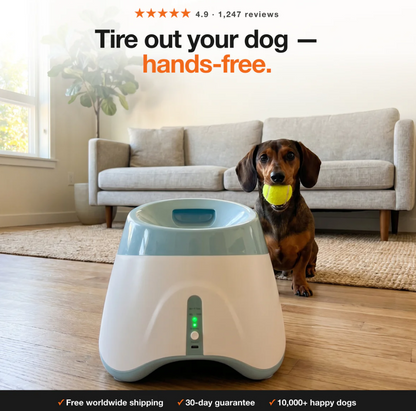 FetchLab™ Ball Luncher